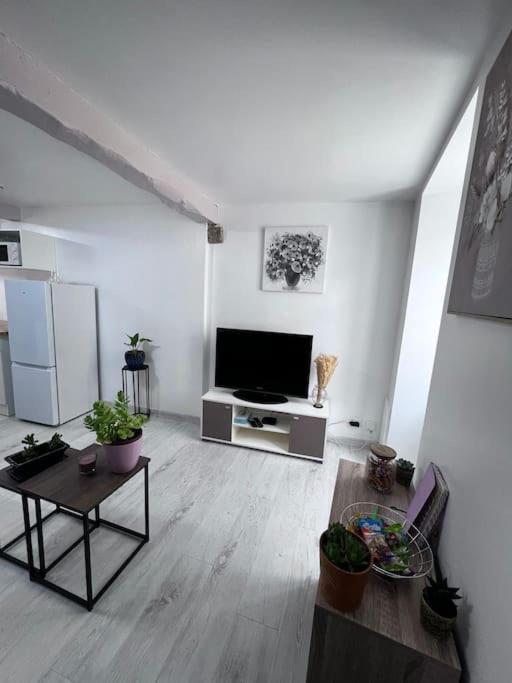 Charmante Maison Renovee Nérac المظهر الخارجي الصورة