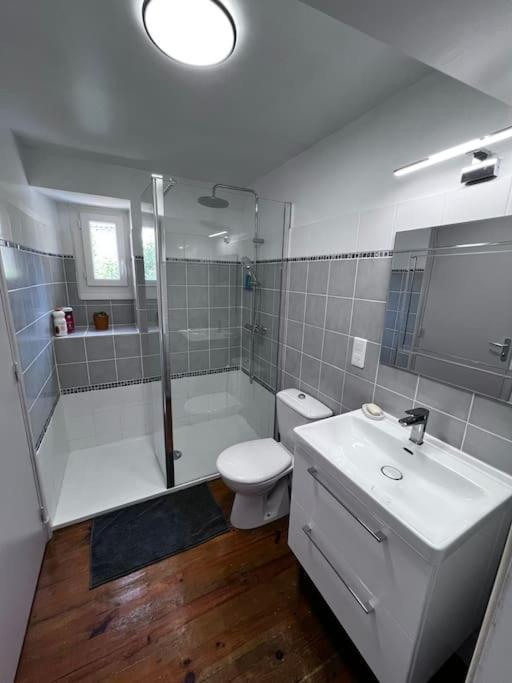 Charmante Maison Renovee Nérac المظهر الخارجي الصورة