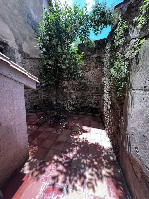 Charmante Maison Renovee Nérac المظهر الخارجي الصورة